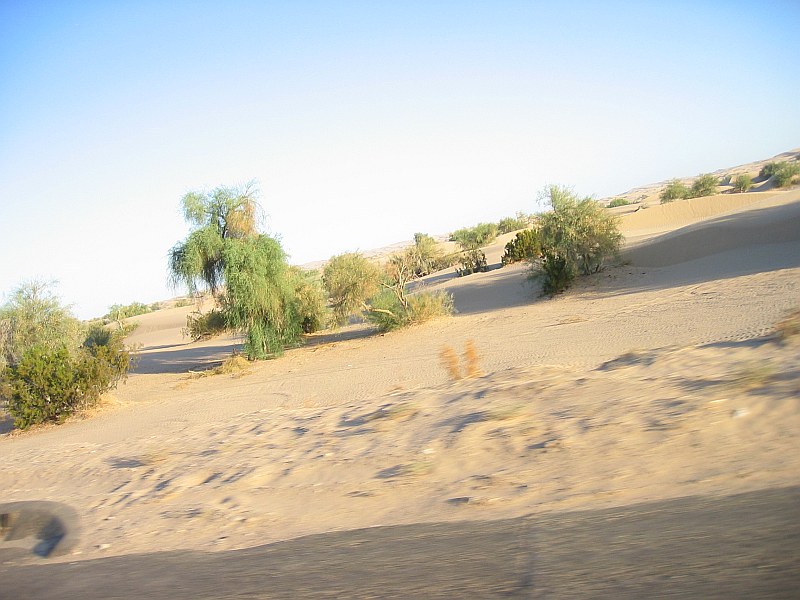 ../Images/Img_8832.jpg