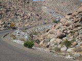 Thumbs/tn_Img_0005.jpg