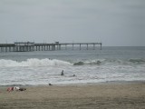 Thumbs/tn_Img_0022.jpg