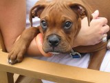 Thumbs/tn_Img_0031.jpg
