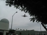 Thumbs/tn_Img_0037.jpg