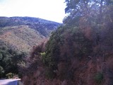Thumbs/tn_Img_0046.jpg
