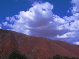 Thumbs/tn_Img_0047.jpg