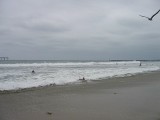 Thumbs/tn_Img_8723.jpg