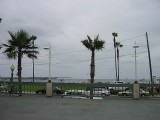 Thumbs/tn_Img_8732.jpg
