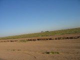 Thumbs/tn_Img_8797.jpg