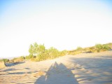 Thumbs/tn_Img_8844.jpg
