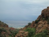 Thumbs/tn_Img_0078.jpg