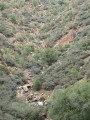 Thumbs/tn_Img_0080.jpg