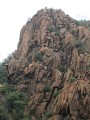 Thumbs/tn_Img_0082.jpg