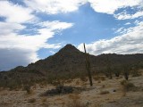Thumbs/tn_Img_8883.jpg