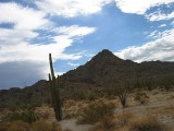 Thumbs/tn_Img_8884.jpg