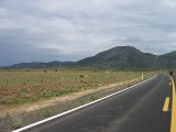 Thumbs/tn_Img_8921.jpg