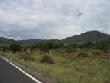 Thumbs/tn_Img_8924.jpg