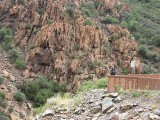 Thumbs/tn_Img_8930.jpg