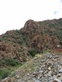 Thumbs/tn_Img_8931.jpg