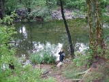 Thumbs/tn_Img_9058.jpg