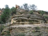 Thumbs/tn_Img_9060.jpg