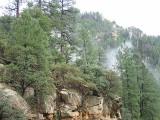 Thumbs/tn_Img_9063.jpg
