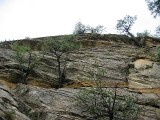 Thumbs/tn_Img_9068.jpg