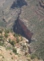 Thumbs/tn_Img_0040.jpg