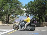 Thumbs/tn_Img_0041.jpg