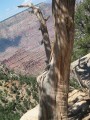 Thumbs/tn_Img_0042.jpg