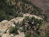 Thumbs/tn_Img_0043.jpg