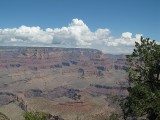 Thumbs/tn_Img_0052.jpg