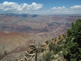 Thumbs/tn_Img_0064.jpg