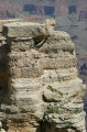 Thumbs/tn_Img_4026.jpg