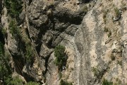 Thumbs/tn_Img_4045.jpg