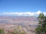 Thumbs/tn_Img_9183.jpg