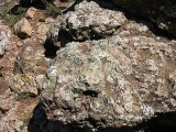 Thumbs/tn_Img_9201.jpg
