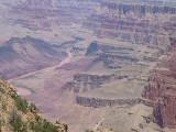 Thumbs/tn_Img_9205.jpg