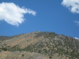 Thumbs/tn_Img_0123.jpg