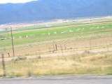 Thumbs/tn_Img_9540.jpg