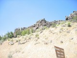 Thumbs/tn_Img_9662.jpg
