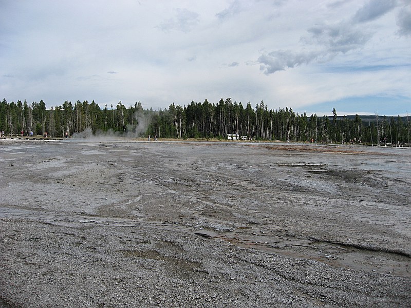 ../Images/IMG_0164RS115.jpg
