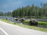 Thumbs/tn_IMG_0054JC037.jpg