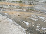 Thumbs/tn_IMG_0072JC050.jpg