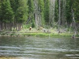 Thumbs/tn_IMG_0089RS046.jpg