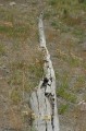 Thumbs/tn_IMG_4117JC350.jpg