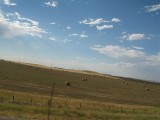 Thumbs/tn_IMG_0234JC185.jpg