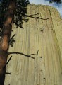 Thumbs/tn_IMG_0260JC208.jpg