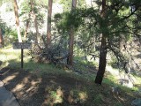 Thumbs/tn_IMG_0686RS215.jpg