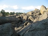Thumbs/tn_IMG_0692RS221.jpg