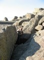 Thumbs/tn_IMG_0697RS225.jpg