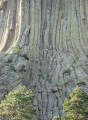Thumbs/tn_IMG_0706RS234.jpg