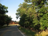 Thumbs/tn_IMG_0722RS250.jpg